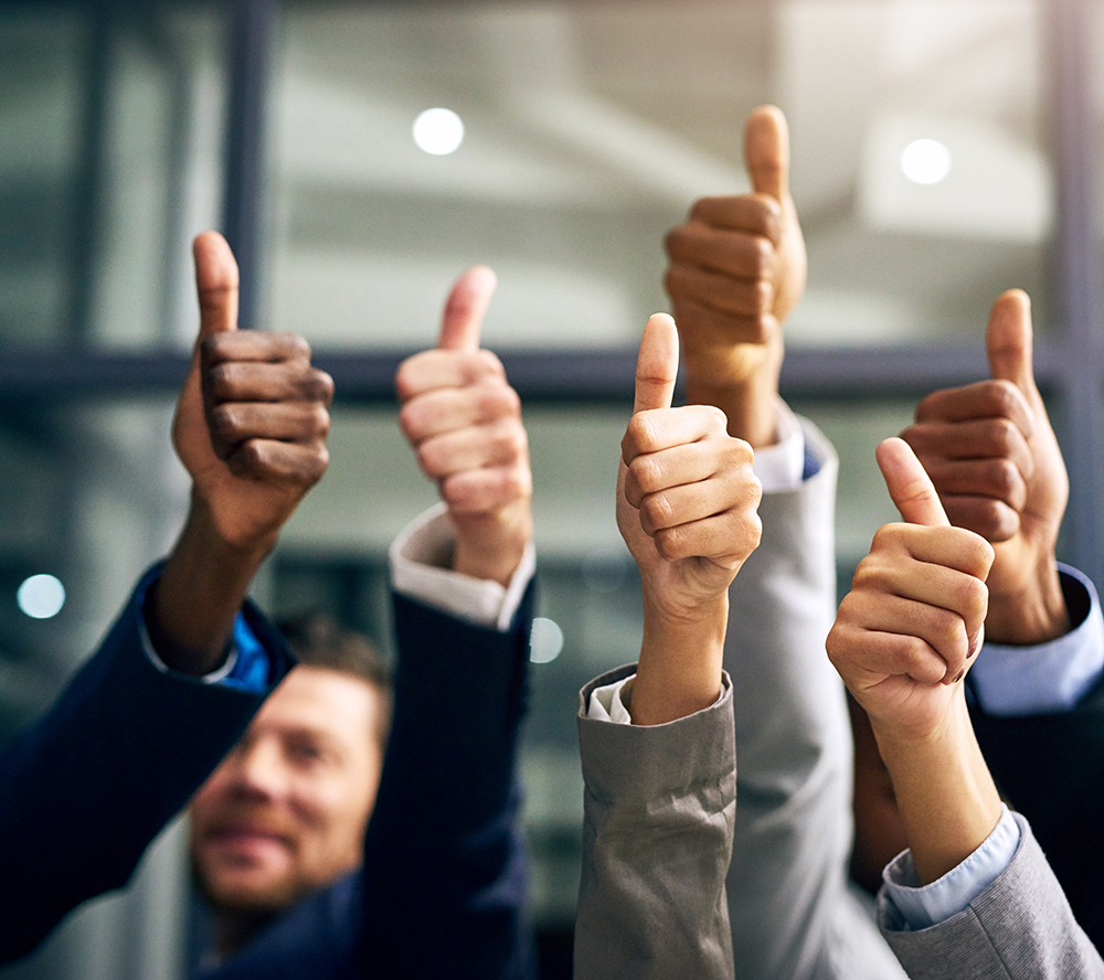 Professional & Efficient Team